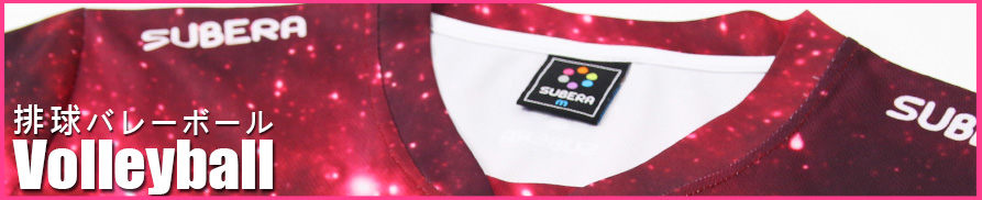Banner_Volleyball